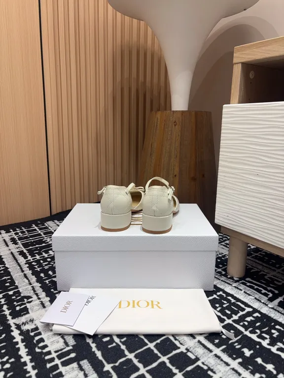 Dior Shoe 